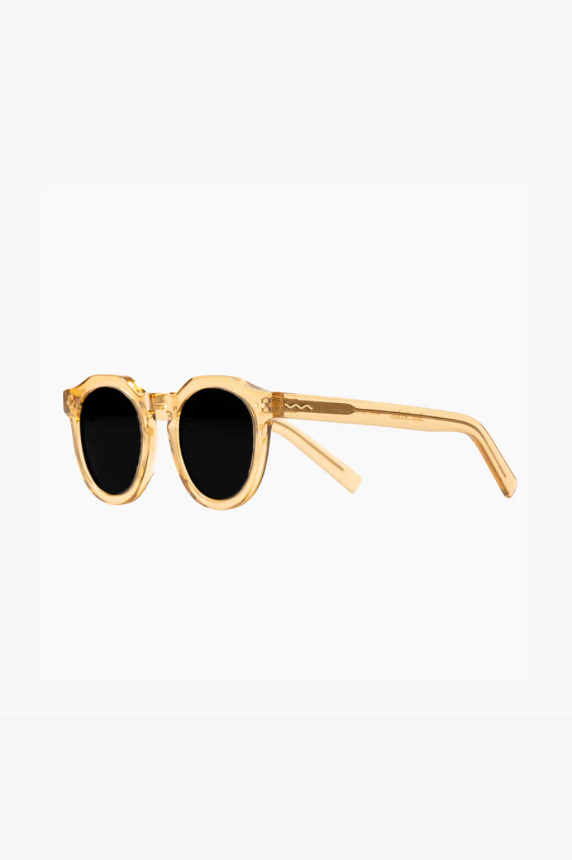 Sun Seeker Unisex Sunglasses