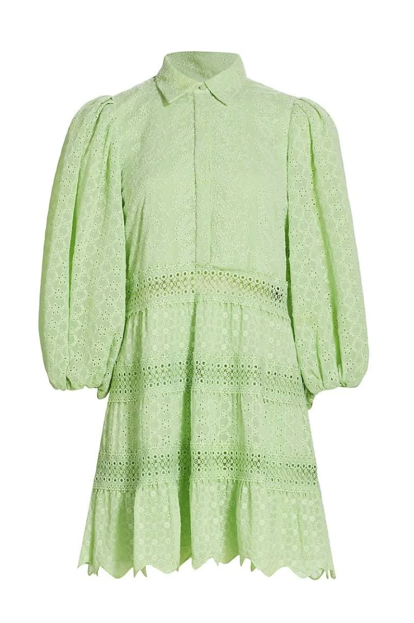Blakesley Mini Dress