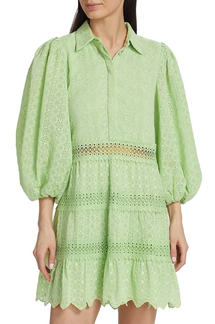 Blakesley Mini Dress