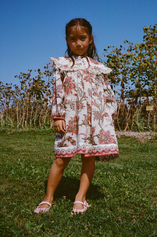 Cassandra Print Long Sleeve Dress