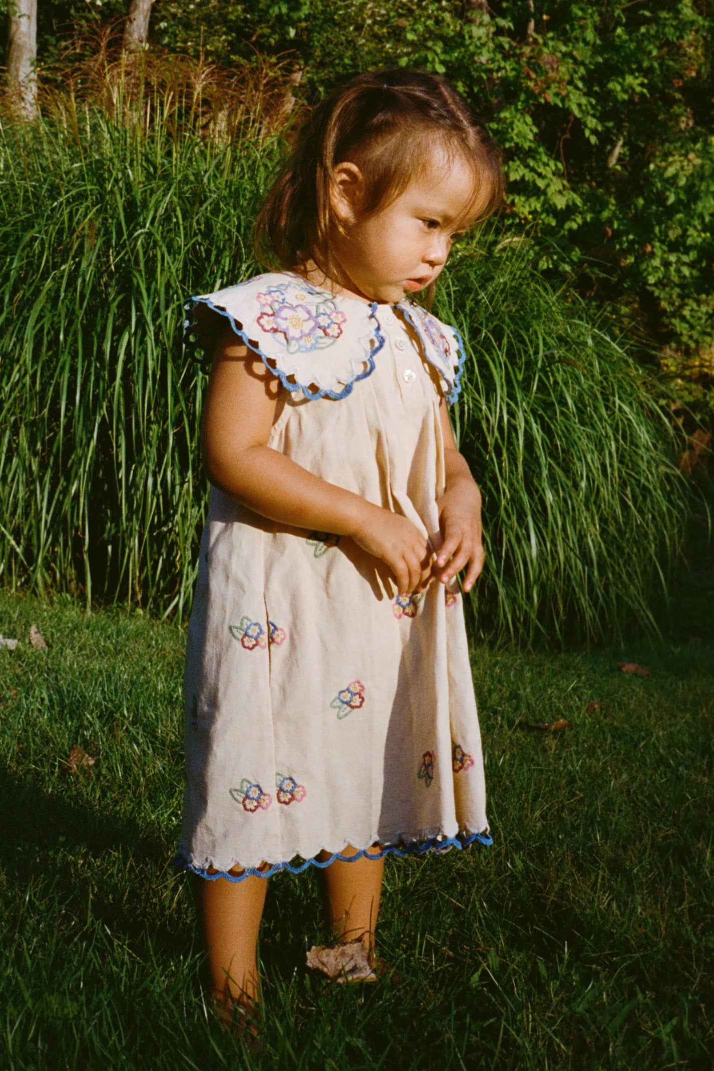 Melinda Embroidered Dress