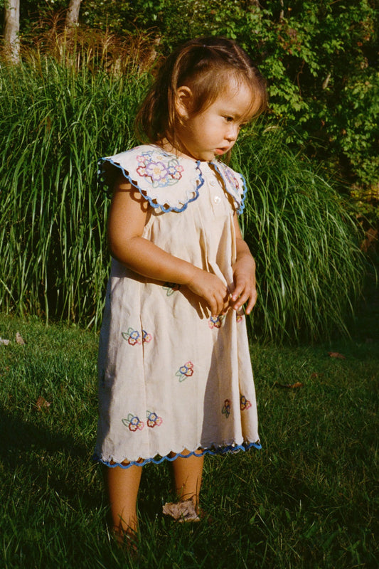 Melinda Embroidered Dress