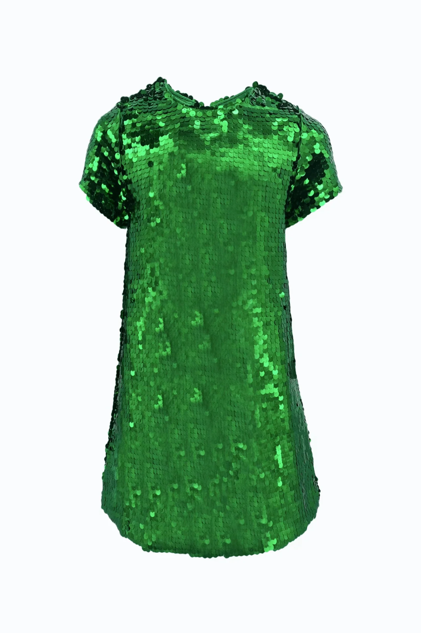 Sparkle Sequin Dress