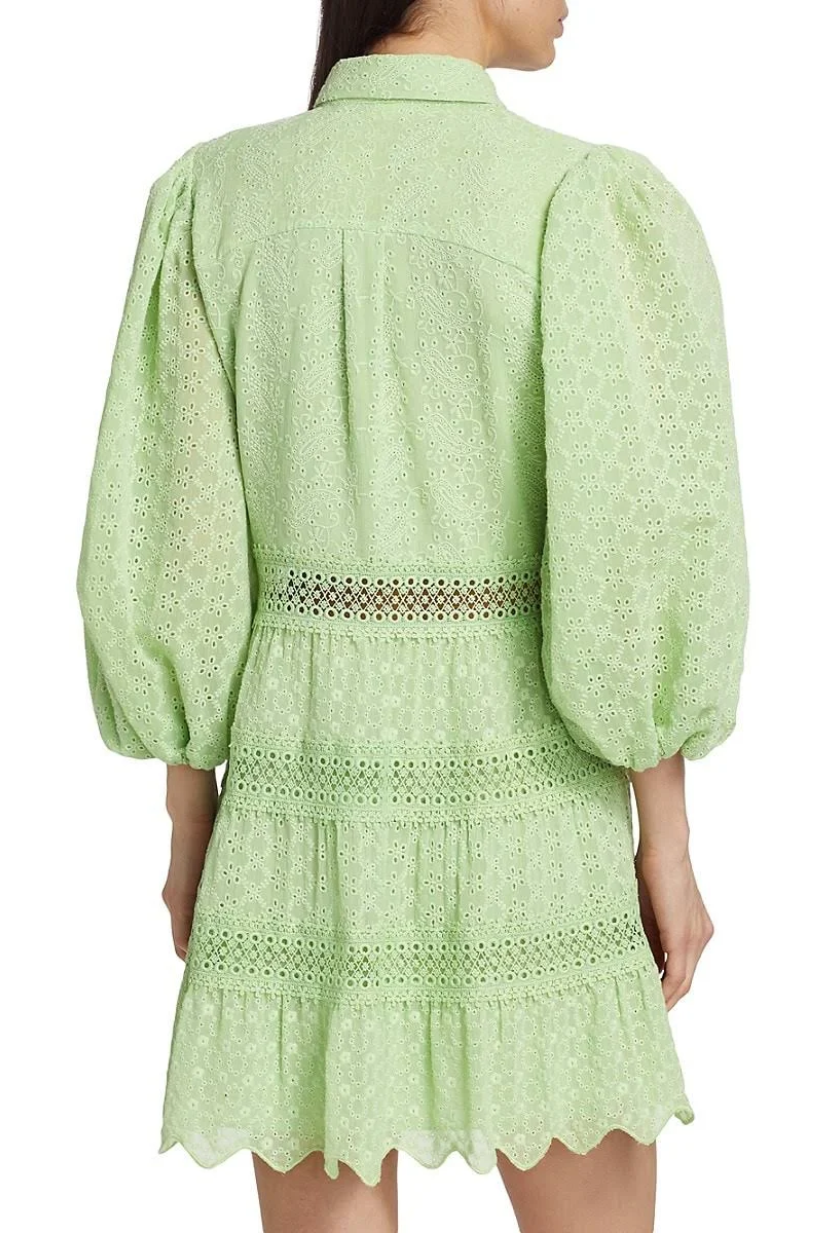 Blakesley Mini Dress
