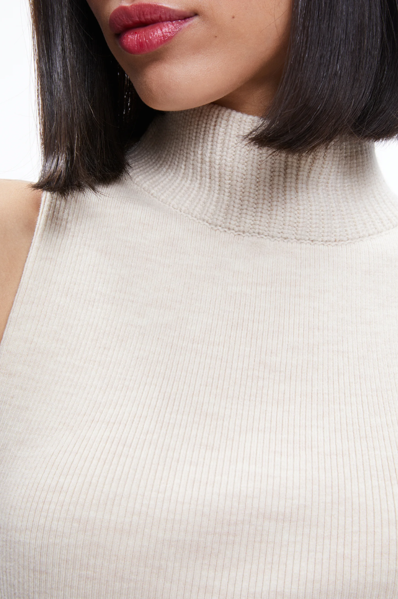 Darcey Single Layer Turtleneck Top