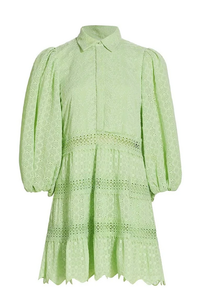 Blakesley Mini Dress