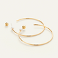 Sylvie Hoops