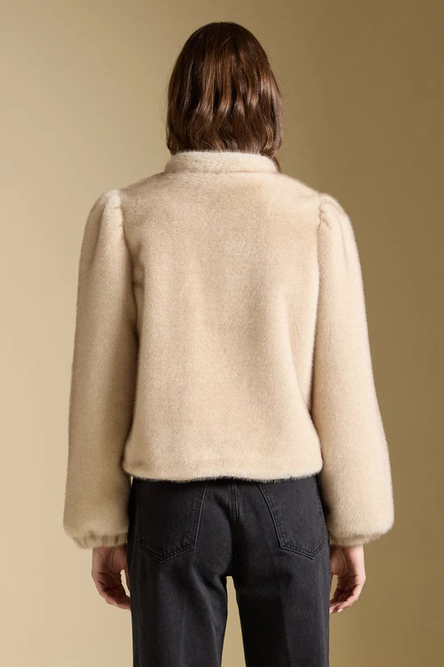 ASH Jacket