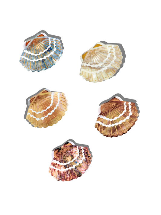 Hand-painted Seashell Claw Hair Clip | Eco-Friendly