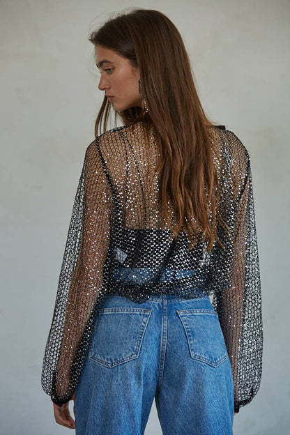 Sequin Mesh Long Sleeve Top