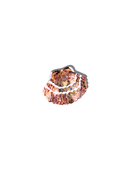Hand-painted Seashell Claw Hair Clip | Eco-Friendly